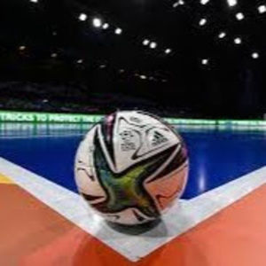 Meet your Posher, Koko